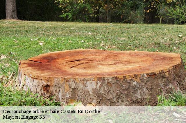 Dessouchage arbre et haie  castets-en-dorthe-33210 Mayron Elagage 33