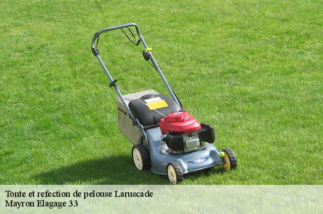 Tonte et refection de pelouse  laruscade-33620 Mayron Elagage 33