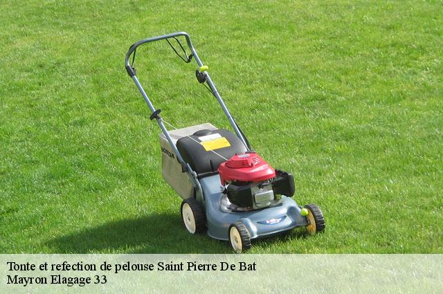 Tonte et refection de pelouse  saint-pierre-de-bat-33760 Mayron Elagage 33