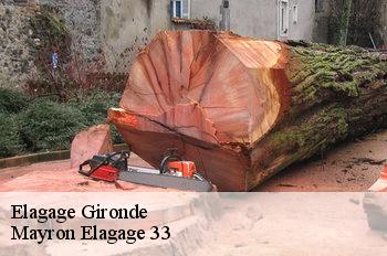 Elagage 33 Gironde Mayron Elagage 33