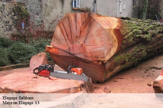 Elagage d arbre  Sablons  t l 05 33 06 18 08