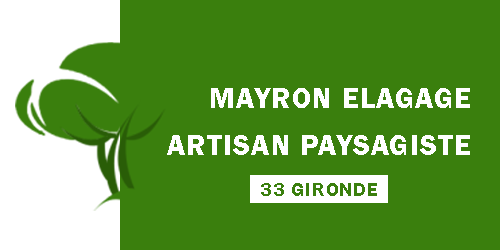 elagage-delsuc-mayron